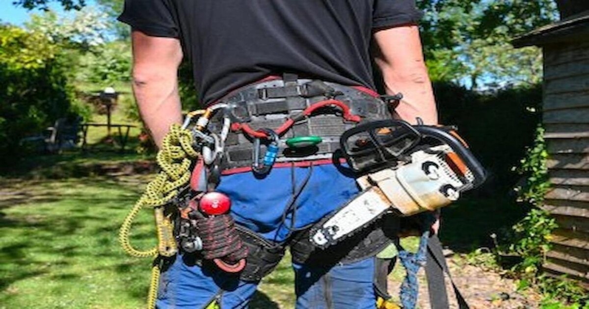 Images Élagage Unique - Granby