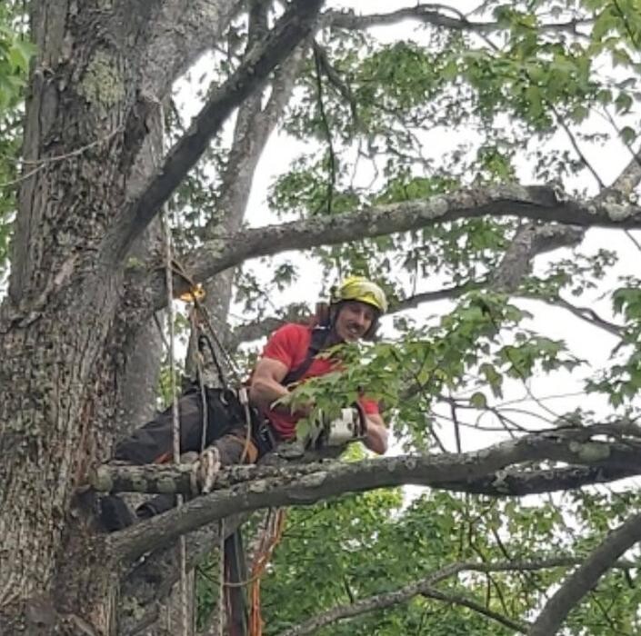 Images Élagage Unique - Granby