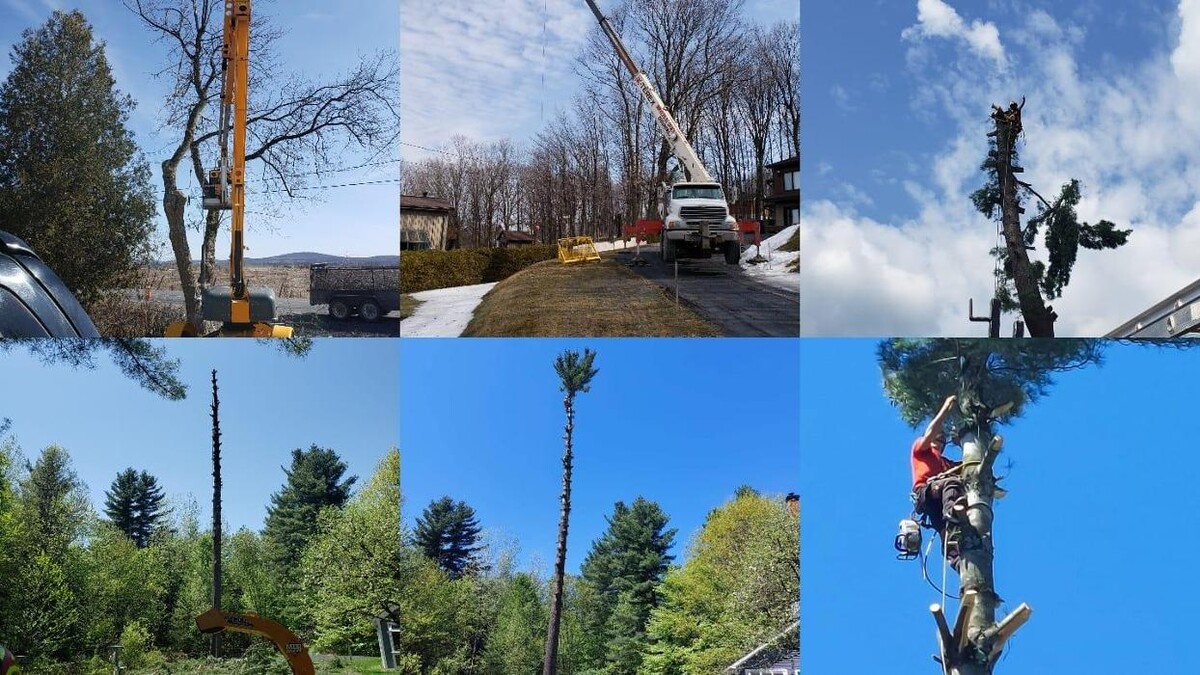 Images Élagage Unique - Granby