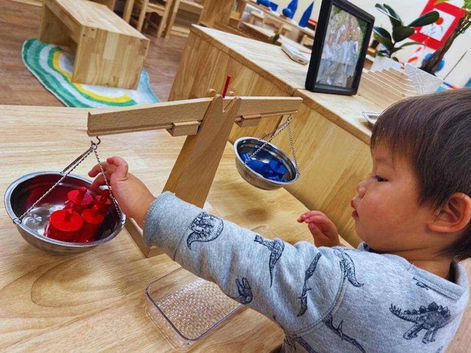 Images Orange Seeds Montessori London