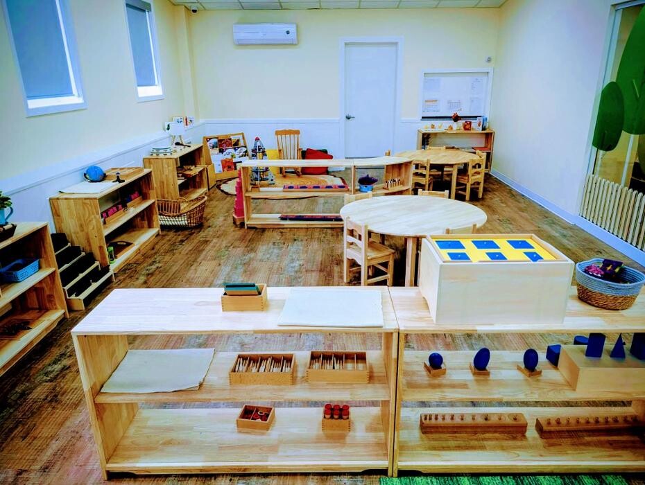 Images Orange Seeds Montessori London