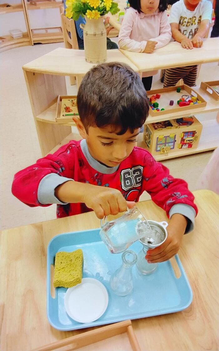 Images Orange Seeds Montessori London