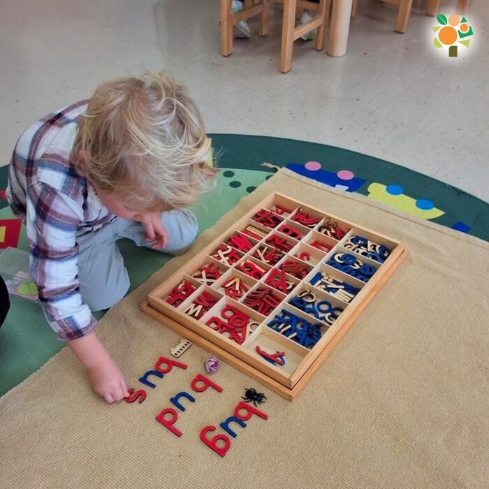 Images Orange Seeds Montessori London