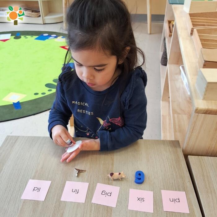 Images Orange Seeds Montessori London