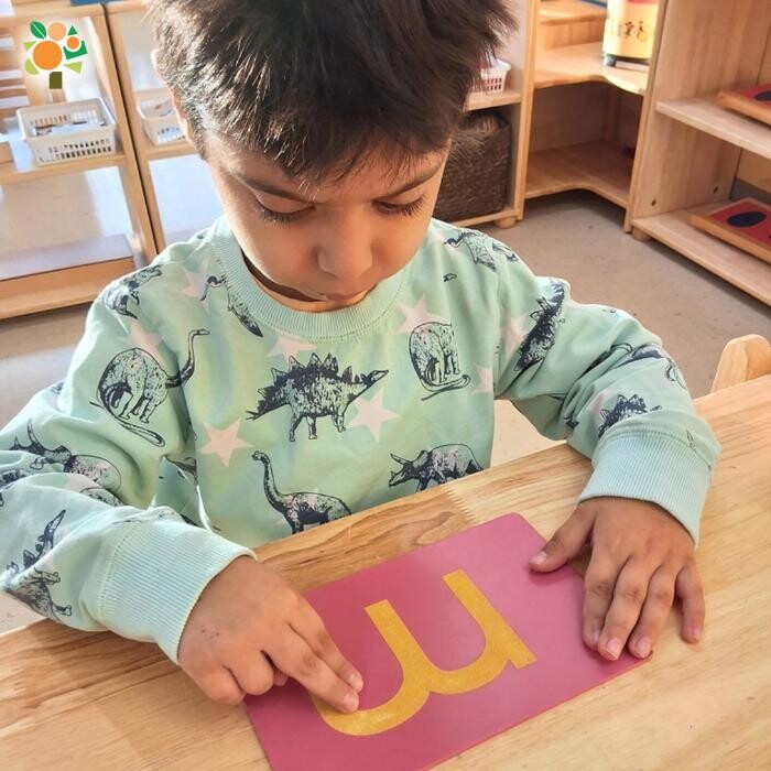 Images Orange Seeds Montessori London