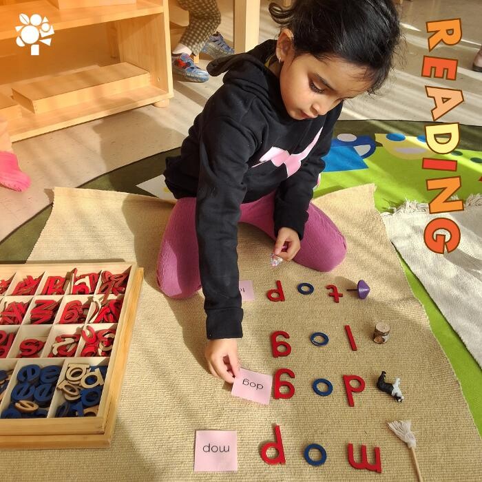 Images Orange Seeds Montessori London