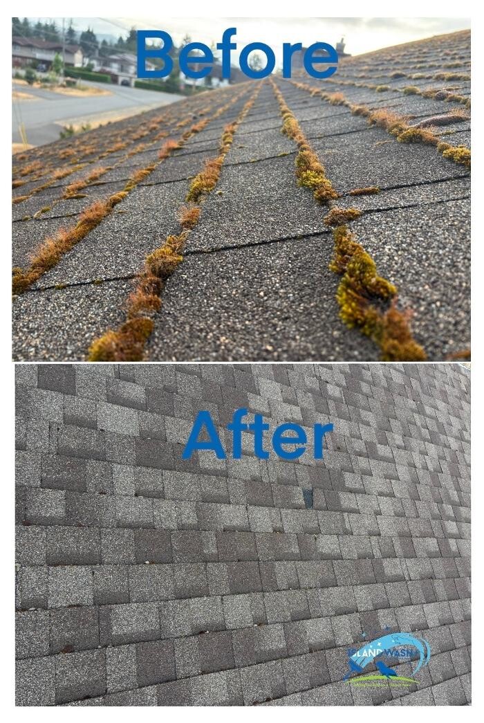 Images Island Wash +