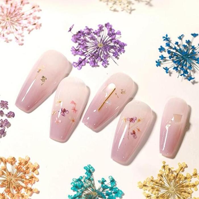 Images Classique Nails Beauty Supply