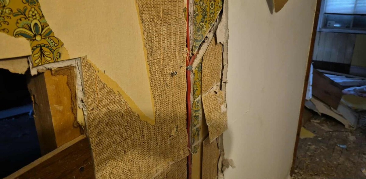 Images L'Homme De La Situation