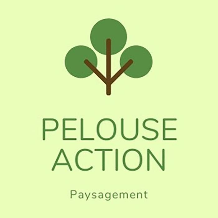 Images Pelouse Action