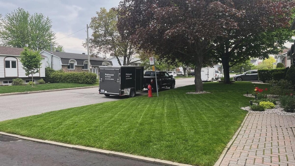 Images Pelouse Action