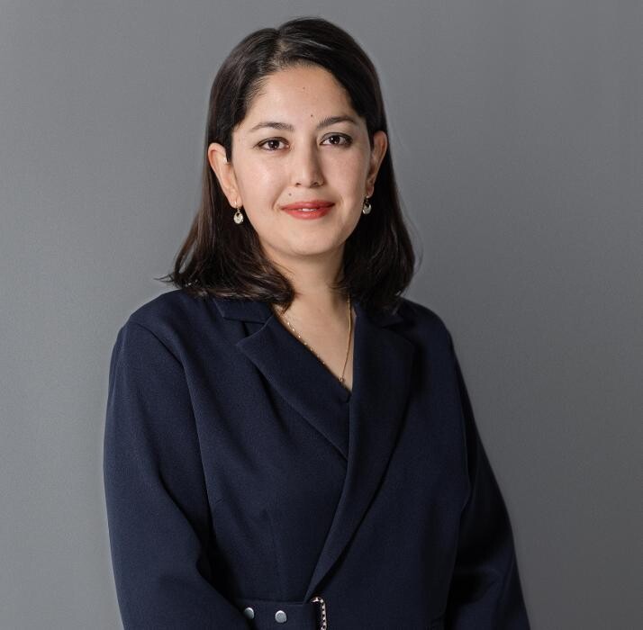 Images Sobirovs Law Firm - Business Immigration Lawyers