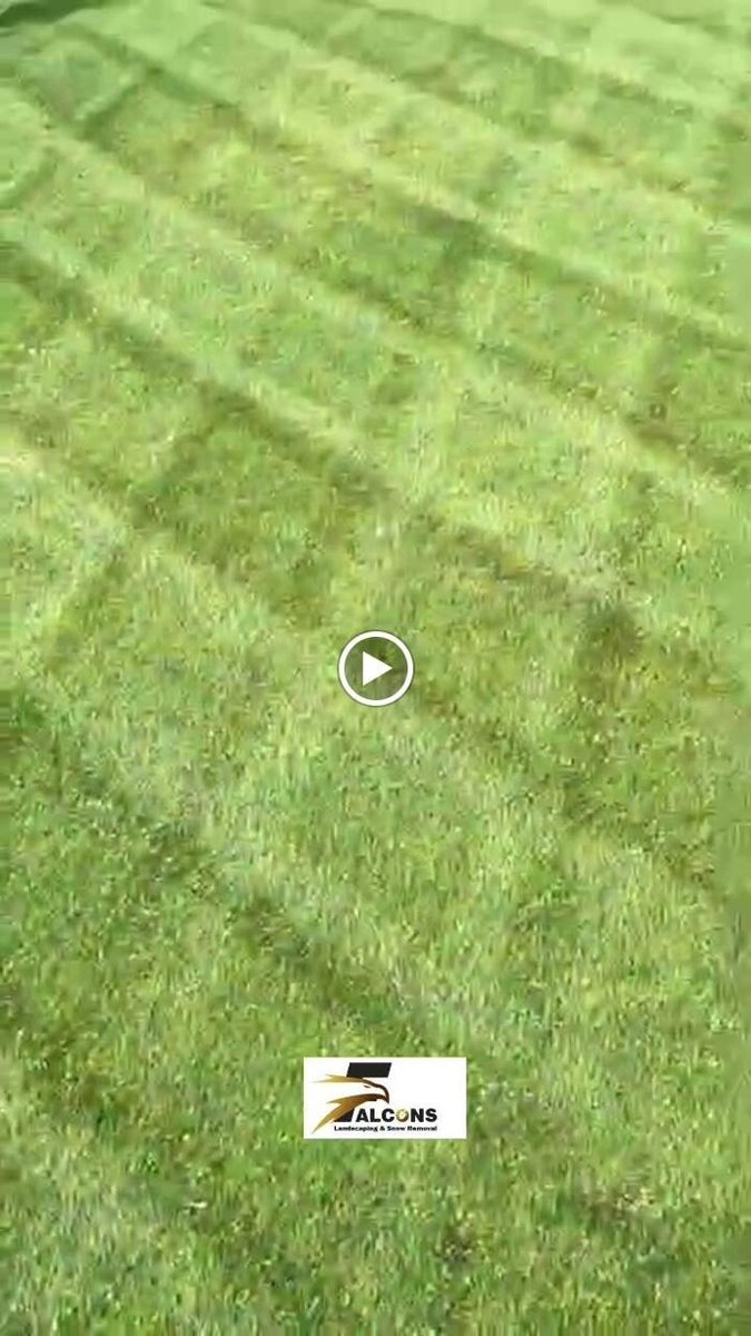 Images Falcons Landscaping & Snow Removal