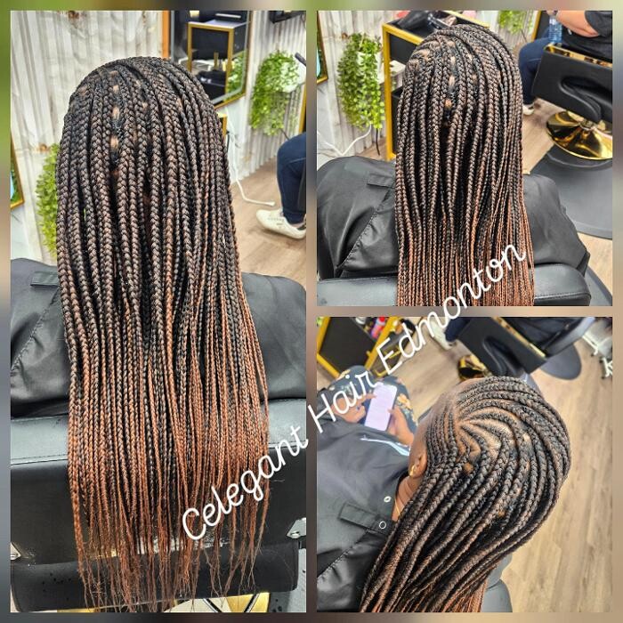 Images Celegant Hair Edmonton