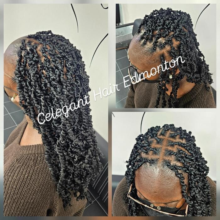 Images Celegant Hair Edmonton