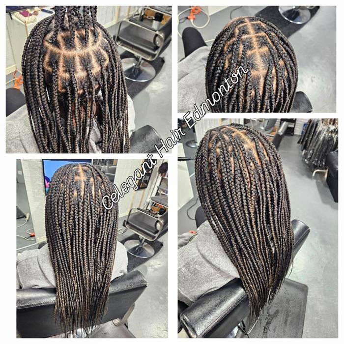 Images Celegant Hair Edmonton