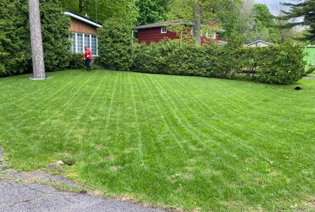 Images VERTLEX - Services Paysagers