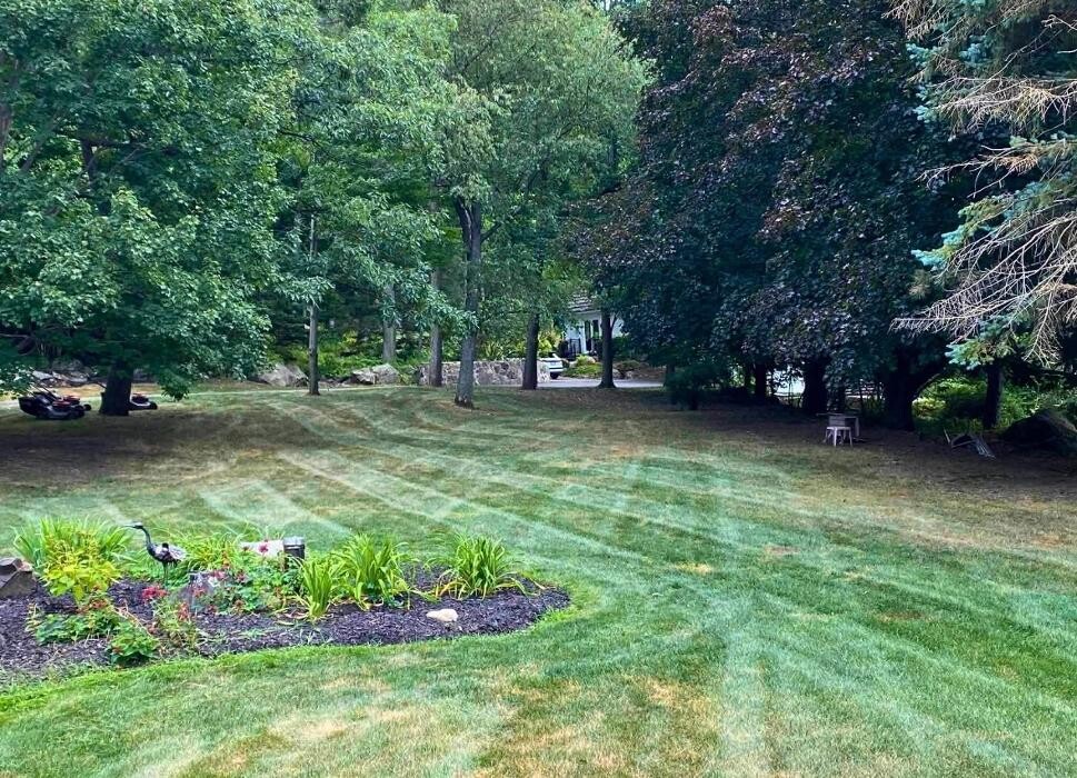 Images VERTLEX - Services Paysagers