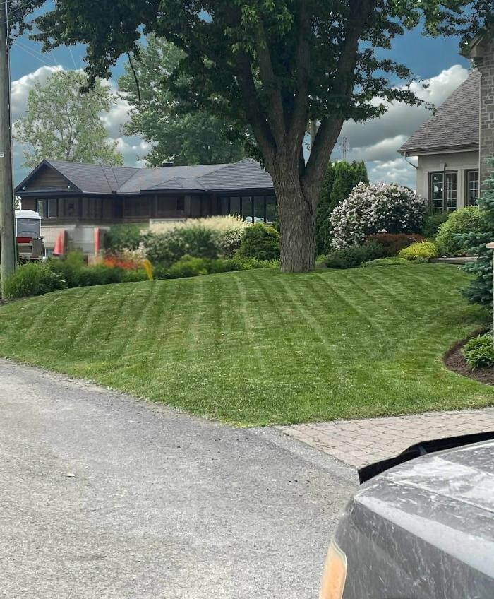 Images VERTLEX - Services Paysagers