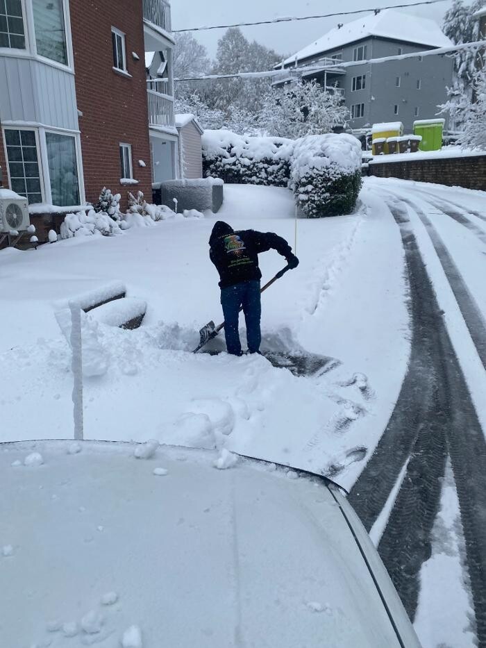 Images VERTLEX - Services Paysagers