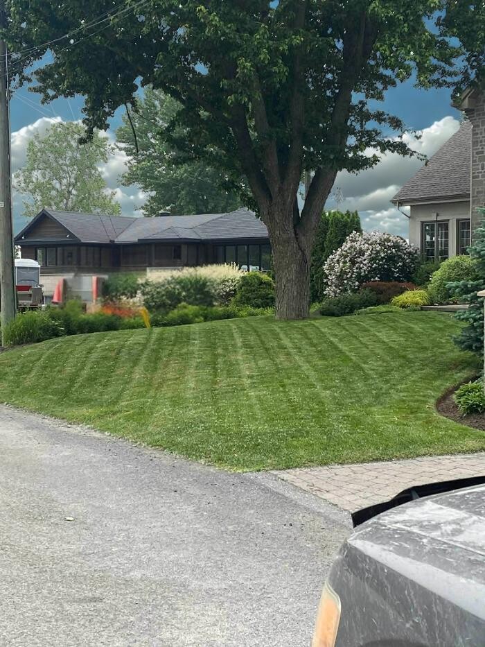 Images VERTLEX - Services Paysagers