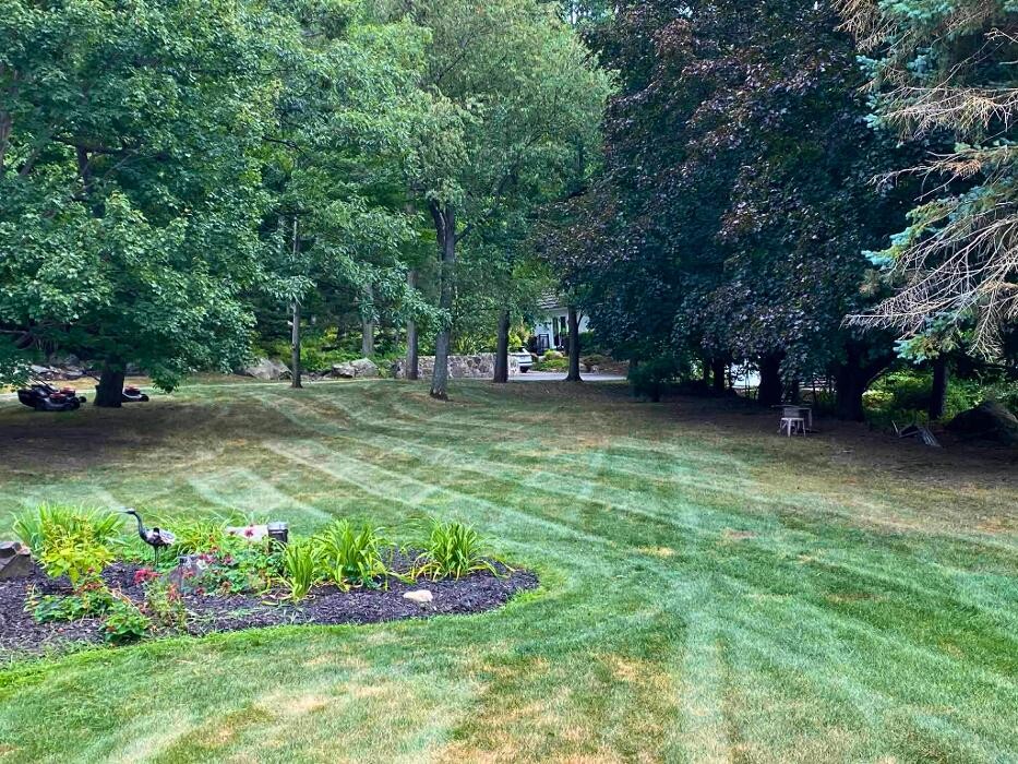 Images VERTLEX - Services Paysagers