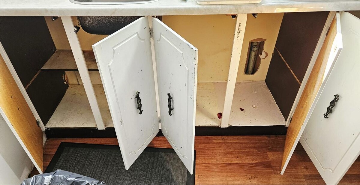 Images PestRid Pest Control Brampton