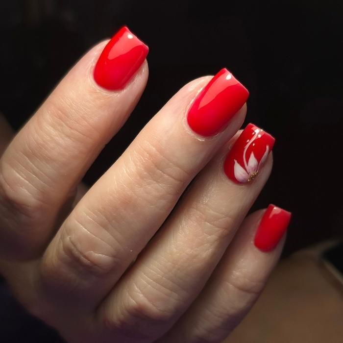 Images Purple Beauty