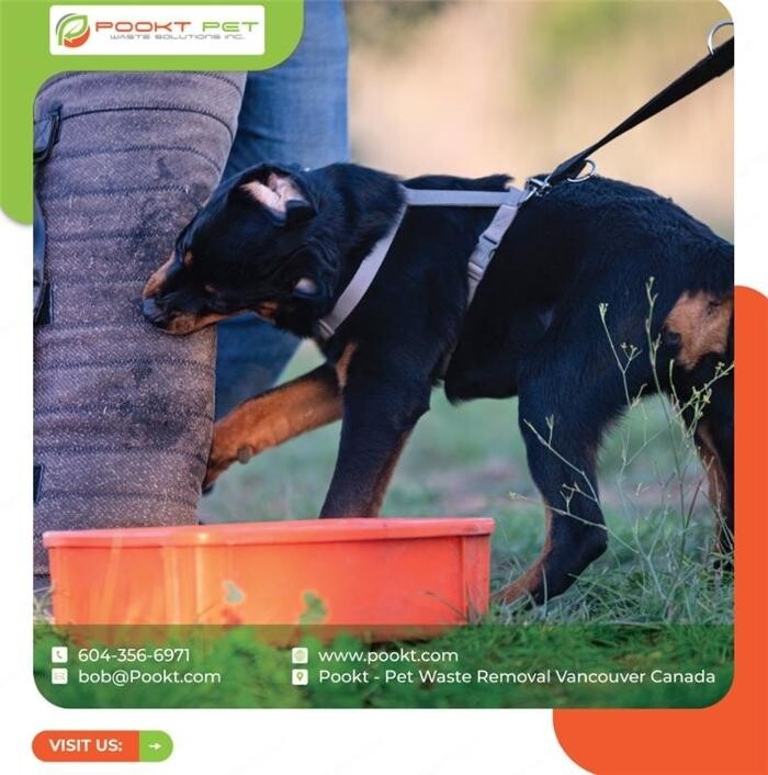 Images Pookt Pet Waste Solutions