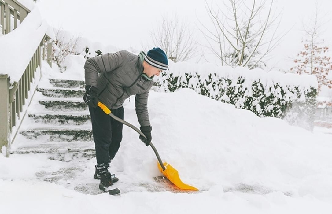 Images Olympia Services