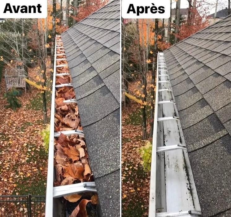 Images Olympia Services