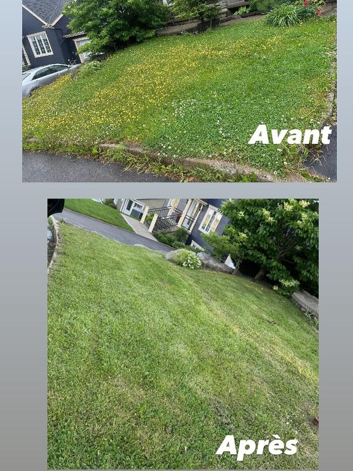 Images Olympia Services