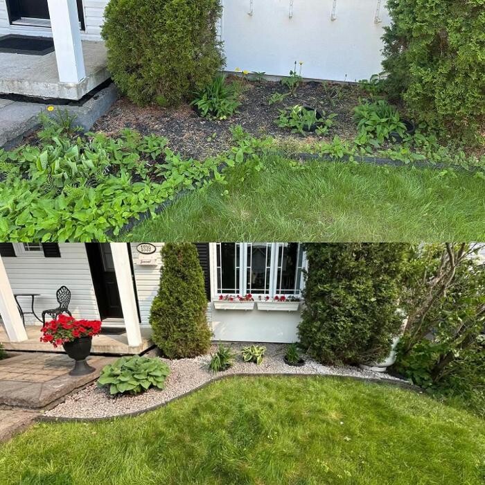 Images Olympia Services