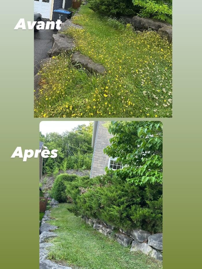 Images Olympia Services