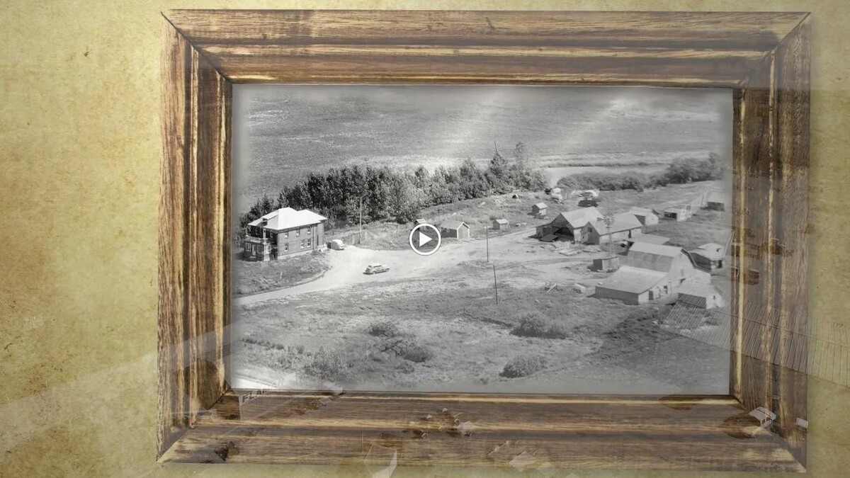 Images Flaman Sales & Rentals Swan River