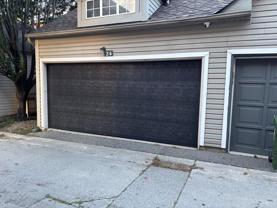 Images Lion Pro Garage Doors