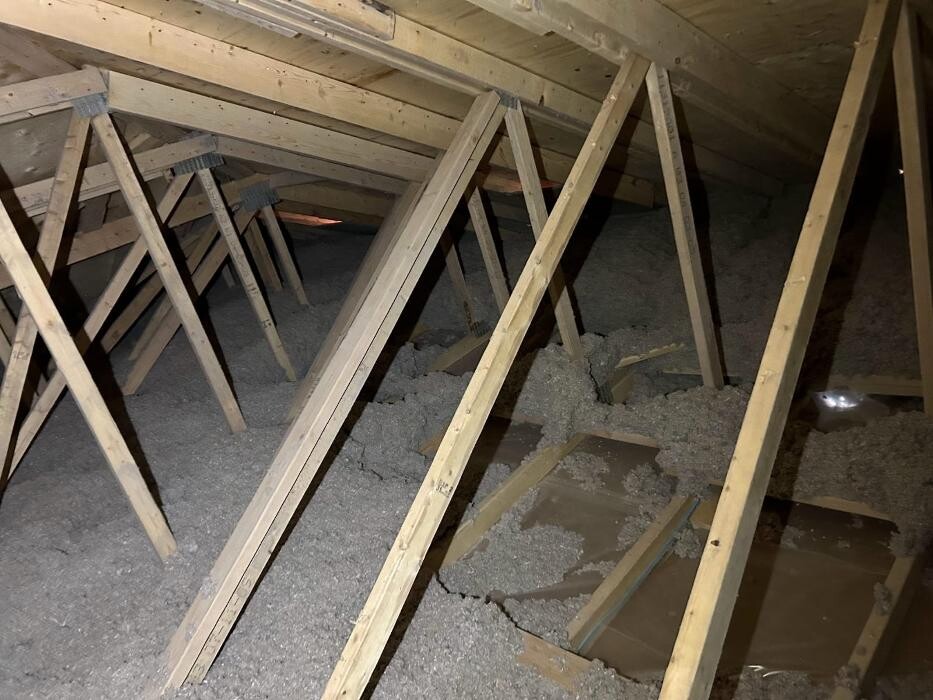 Images Pavy G Company