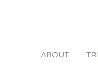 Website Screenshot Elev8 Aesthetic Medicine Inc. Botox, Lip Fillers, Microneedling, PRP for Hair Loss & Plant Based Exosome Treatments