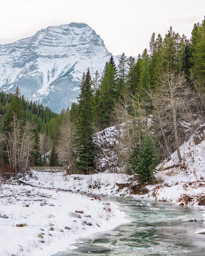 Images Canmore Premier