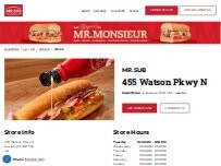 Website Screenshot MR.SUB