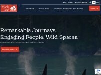 Website Screenshot Maple Leaf Adventures