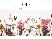 Website Screenshot Ollie Flower Studio