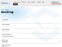 Website Screenshot Skyward Restoration Saskatoon