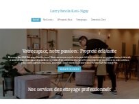 Website Screenshot K&N Nettoyage Pro