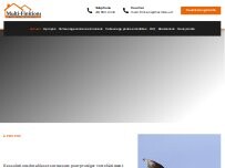 Website Screenshot Multi-Finitions Michel Lessard Inc.