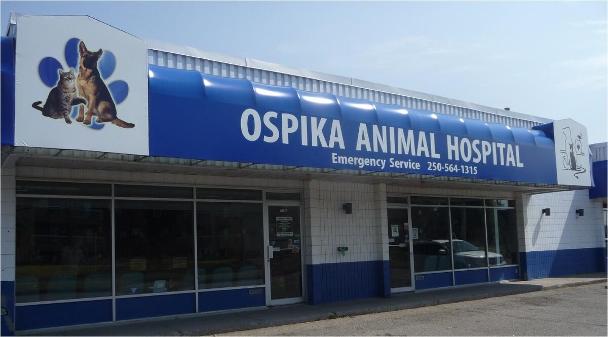 Images Ospika Animal Hospital
