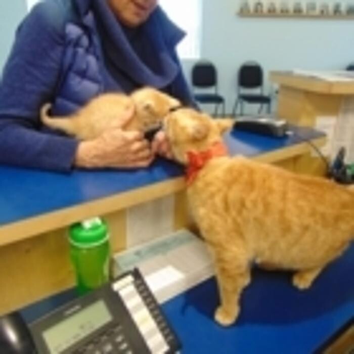 Images Prince George Veterinary Hospital Ltd