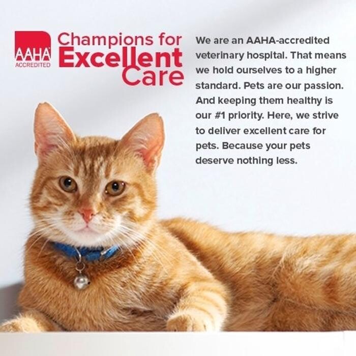 Images Prince George Veterinary Hospital Ltd