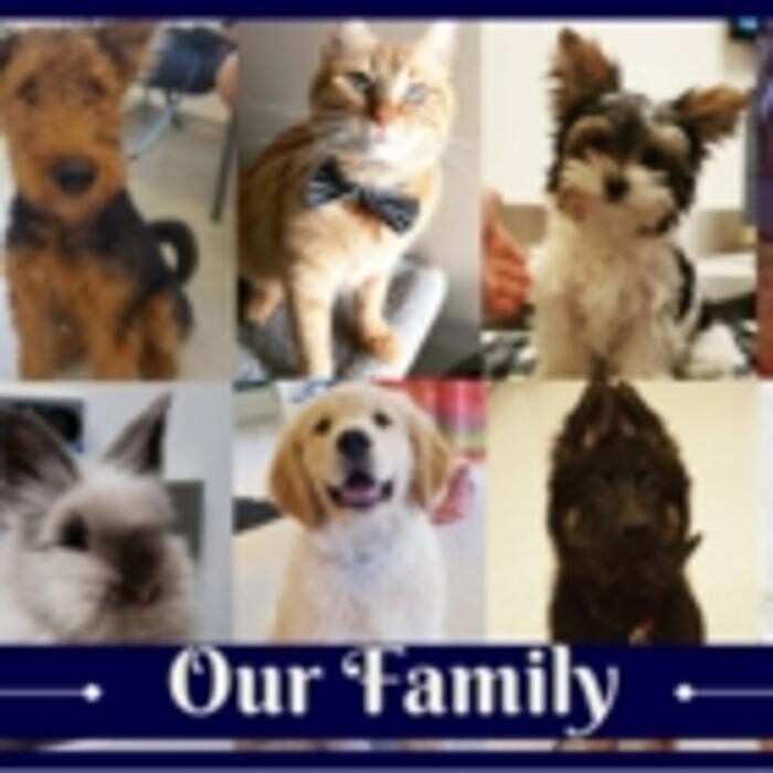 Images Prince George Veterinary Hospital Ltd