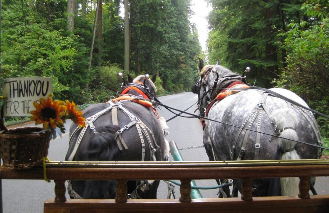 Images Stanley Park Horse Drawn Tours Ltd